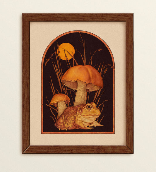 Bullfrog & Mushrooms Art Print